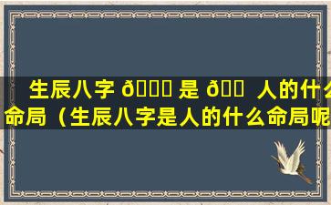 生辰八字 🐟 是 🐠 人的什么命局（生辰八字是人的什么命局呢）